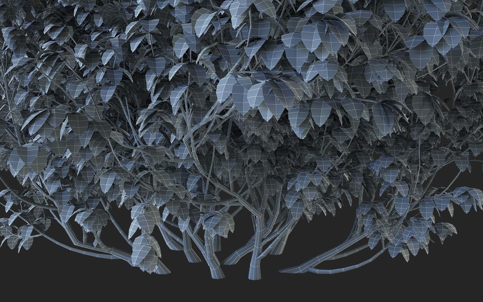 Bush Plant 3D model_8