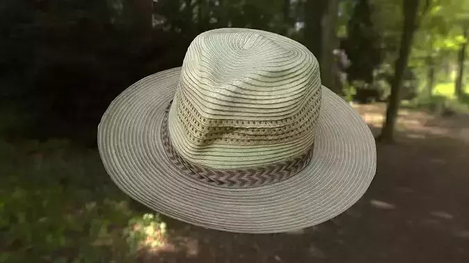 Hat low poly 3D model in forest