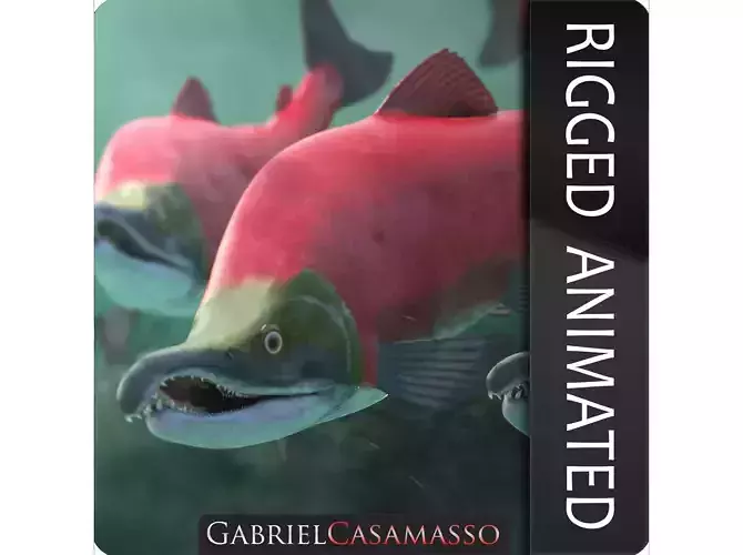 Oncorhynchus Nerka - The Red Sockeye Salmon