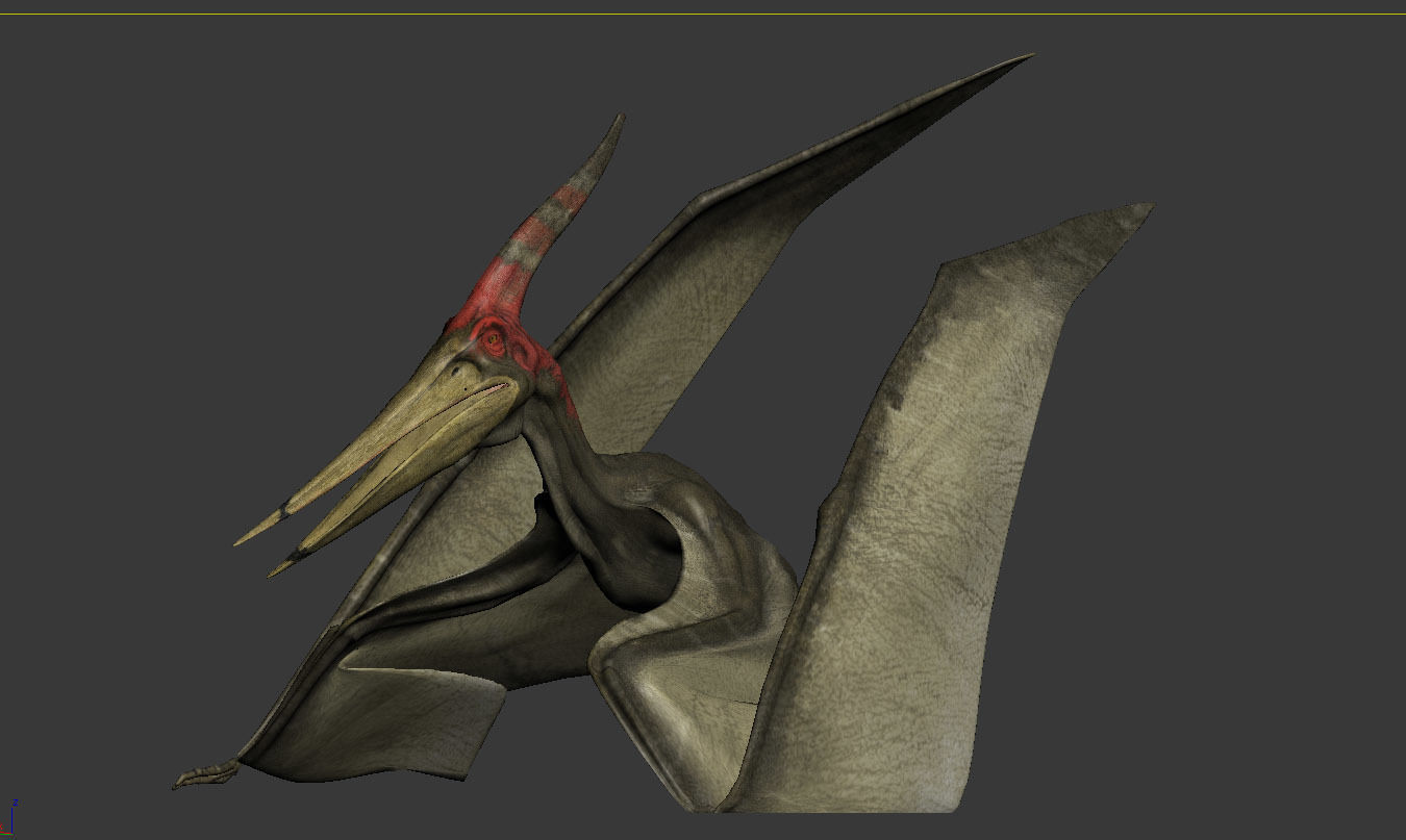 Pterodon animations Low-poly 3D model_15