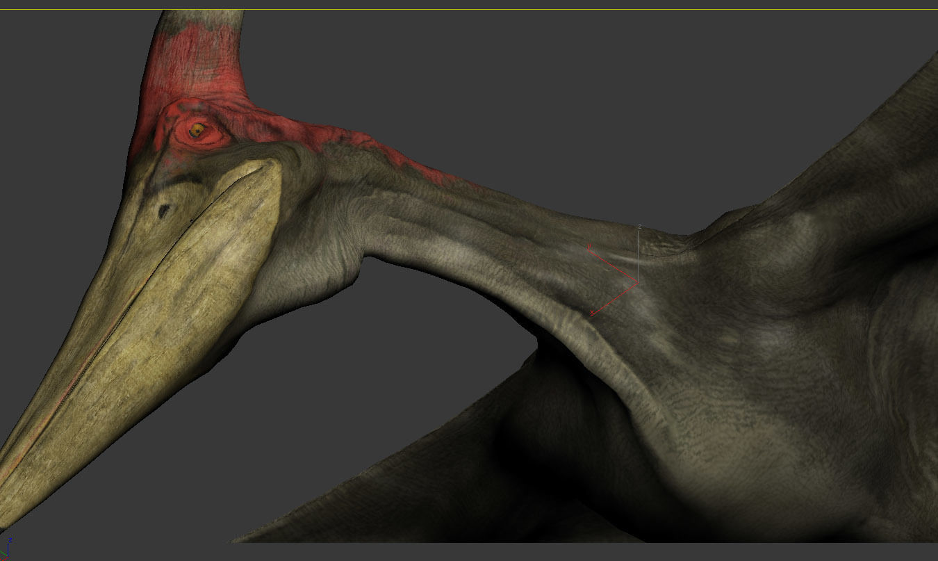 Pterodon animations Low-poly 3D model_17