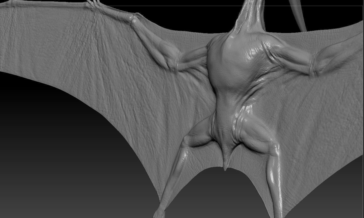 Pterodon animations Low-poly 3D model_23