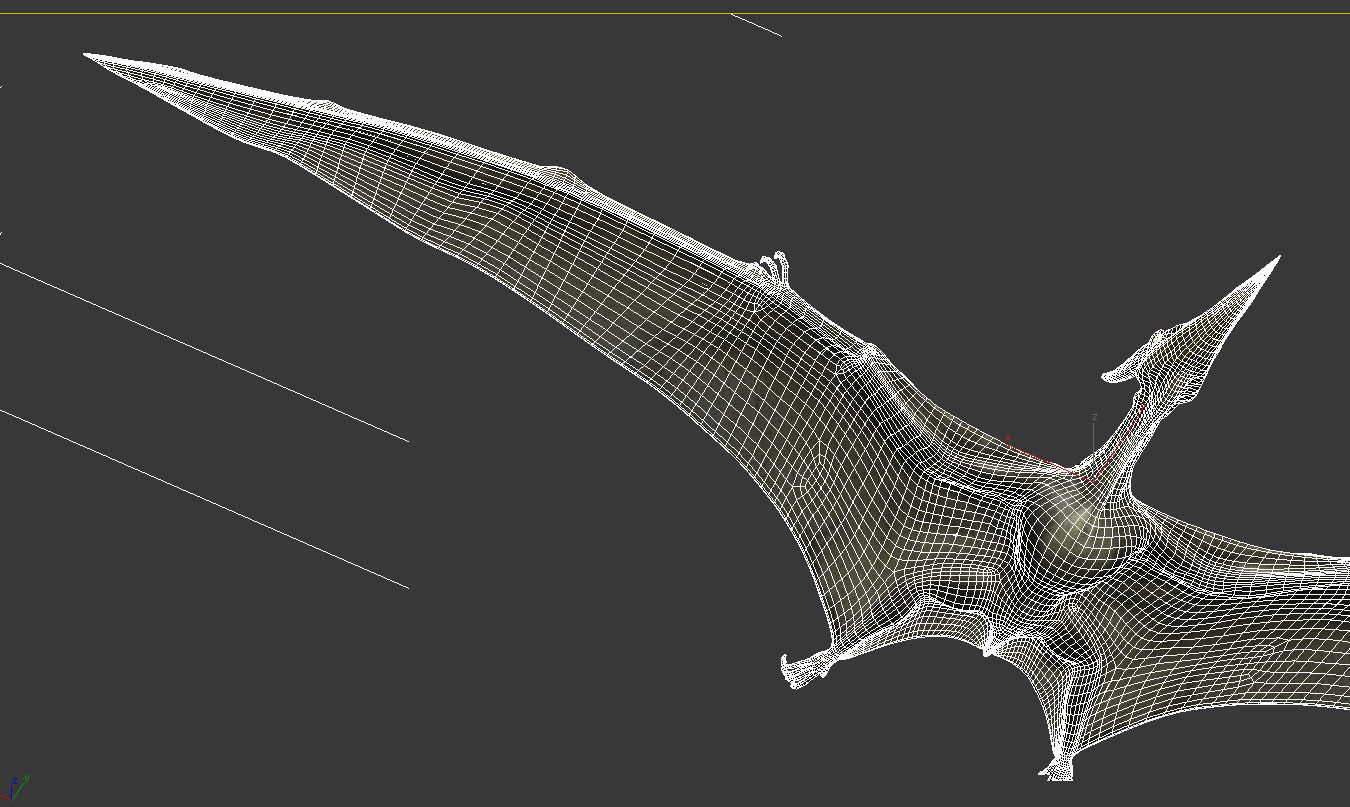 Pterodon animations Low-poly 3D model_14