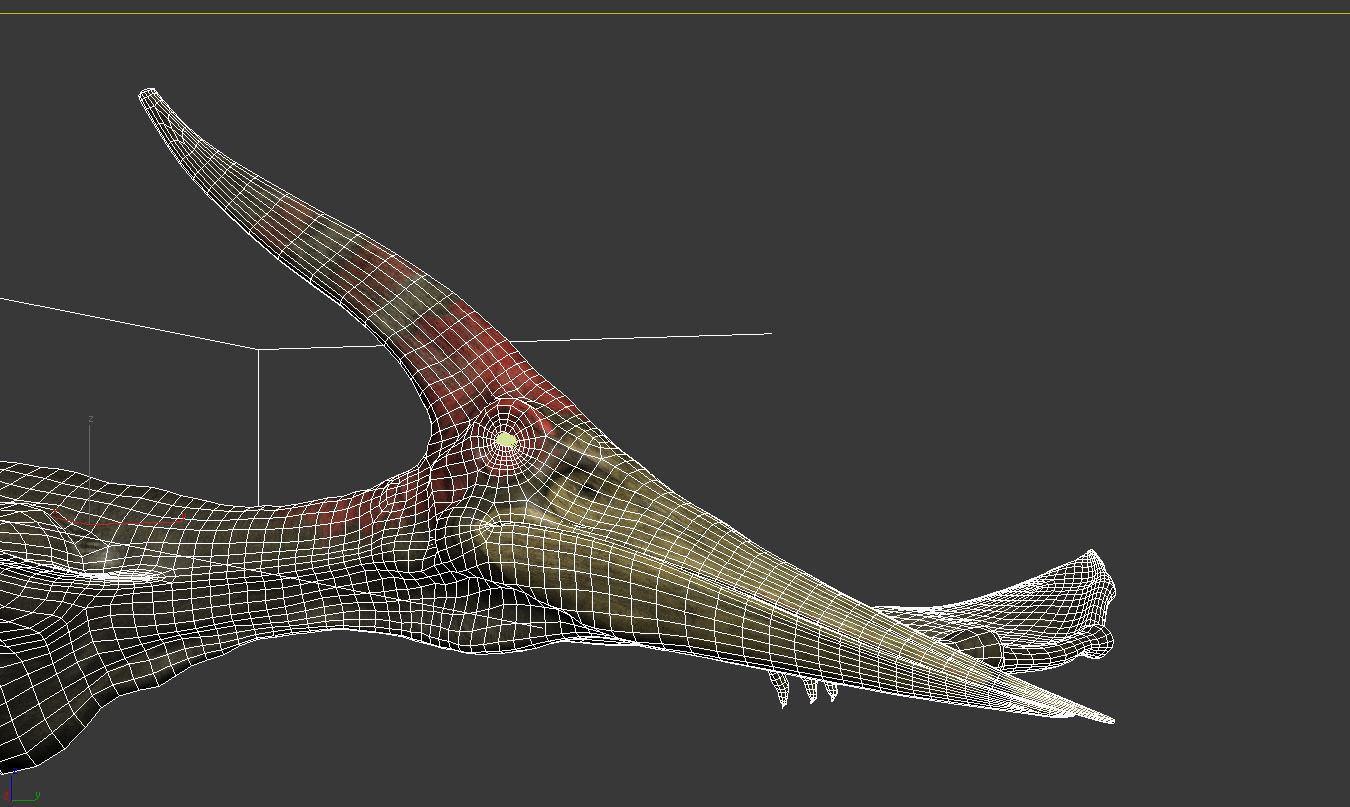 Pterodon animations Low-poly 3D model_16