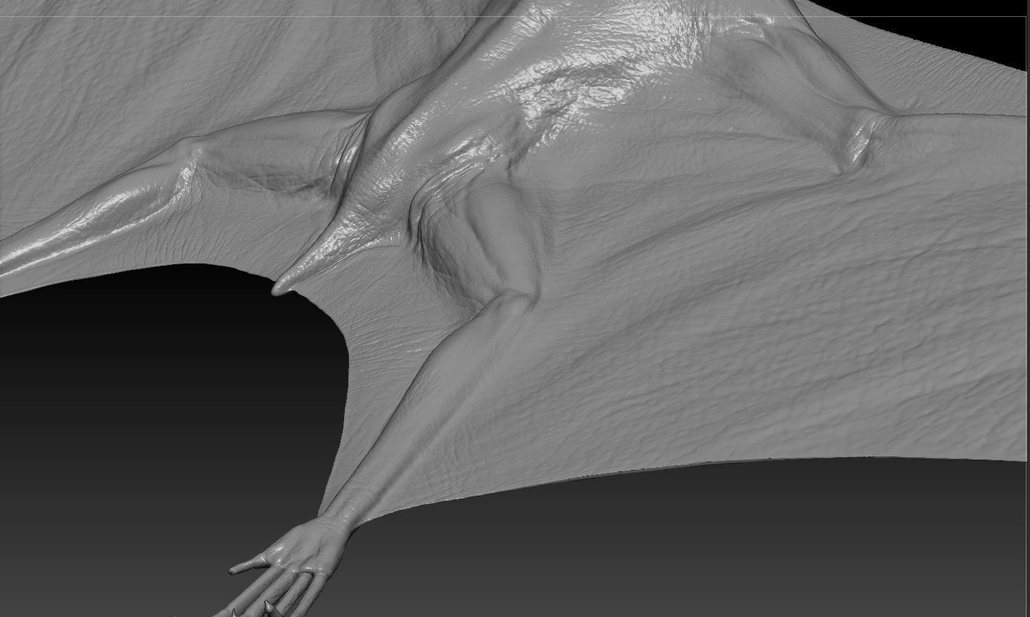 Pterodon animations Low-poly 3D model_22