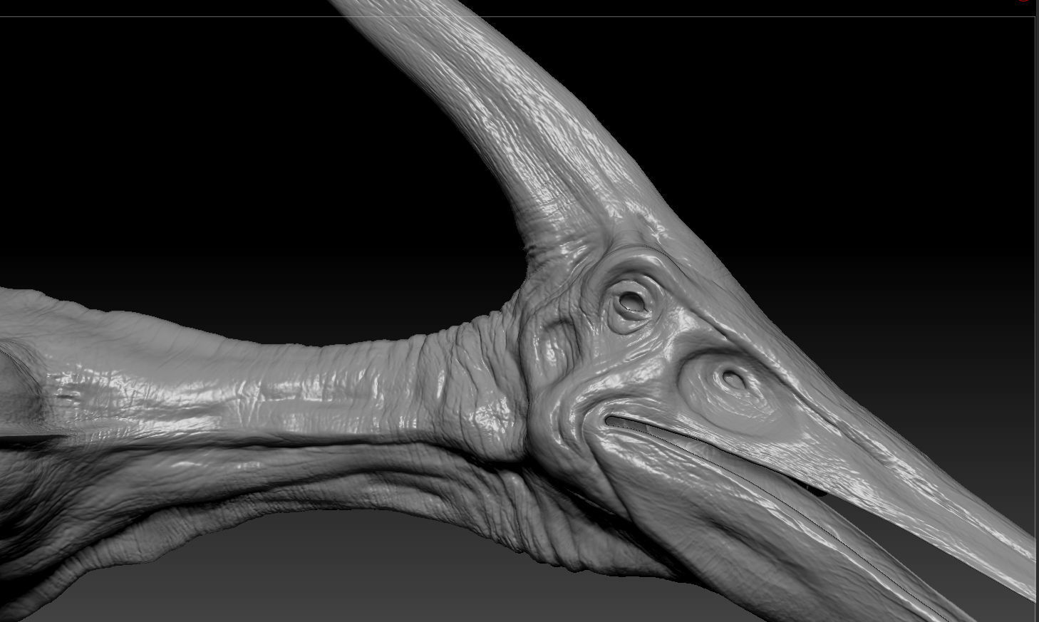 Pterodon animations Low-poly 3D model_21