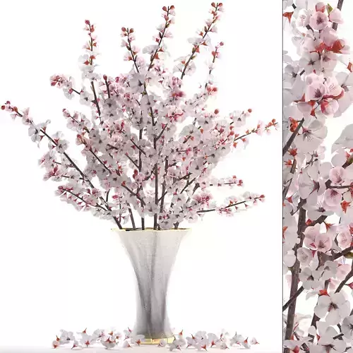 Sakura Bouquet 3D model