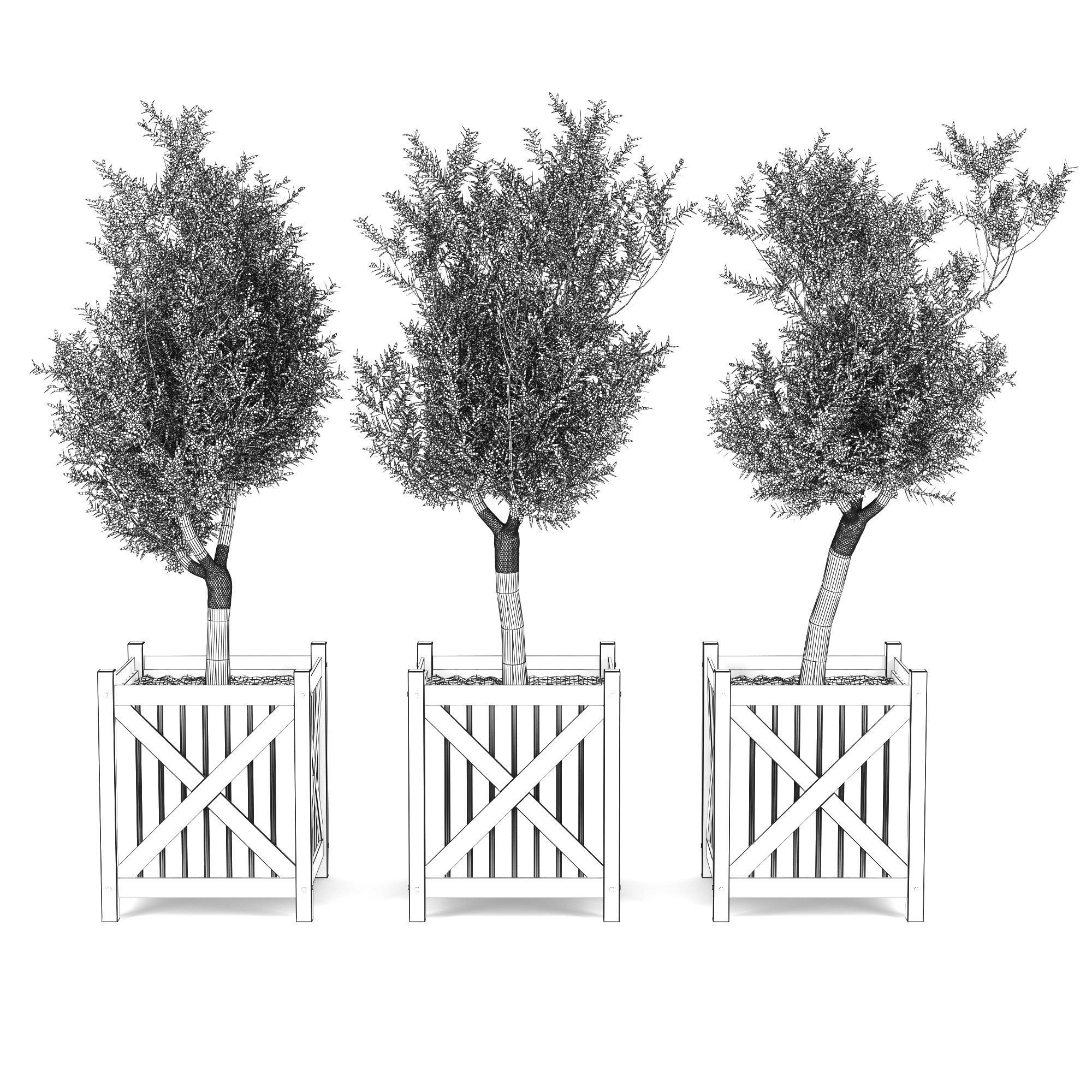 Olive tree green boxes 3D model_5