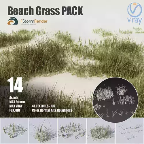 Beach grass pack Low-poly 3D model