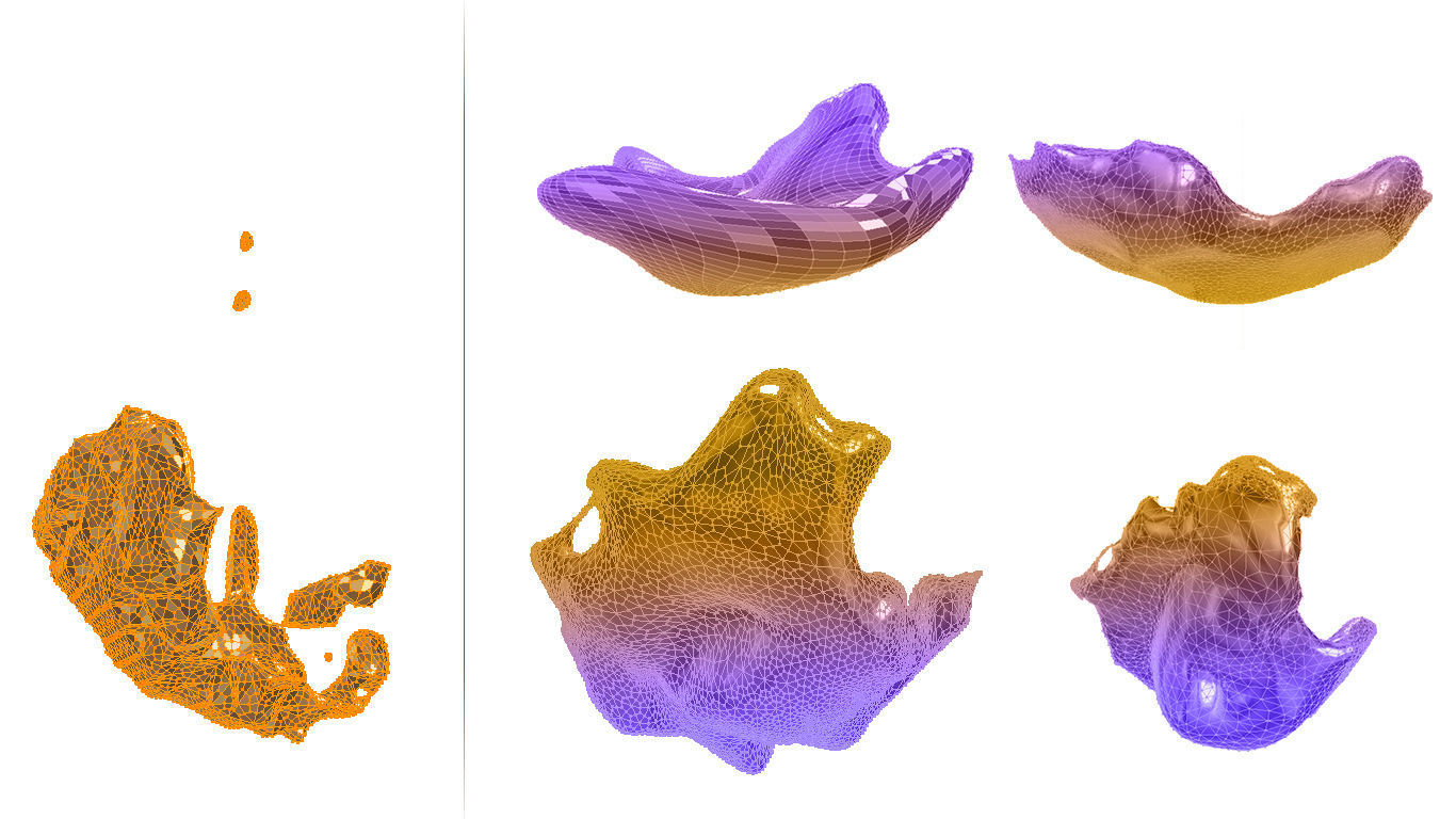 FLUID Delicate vortex 3D model_1