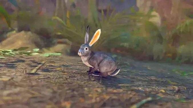 Realistic Rabbits Low-poly 3D model