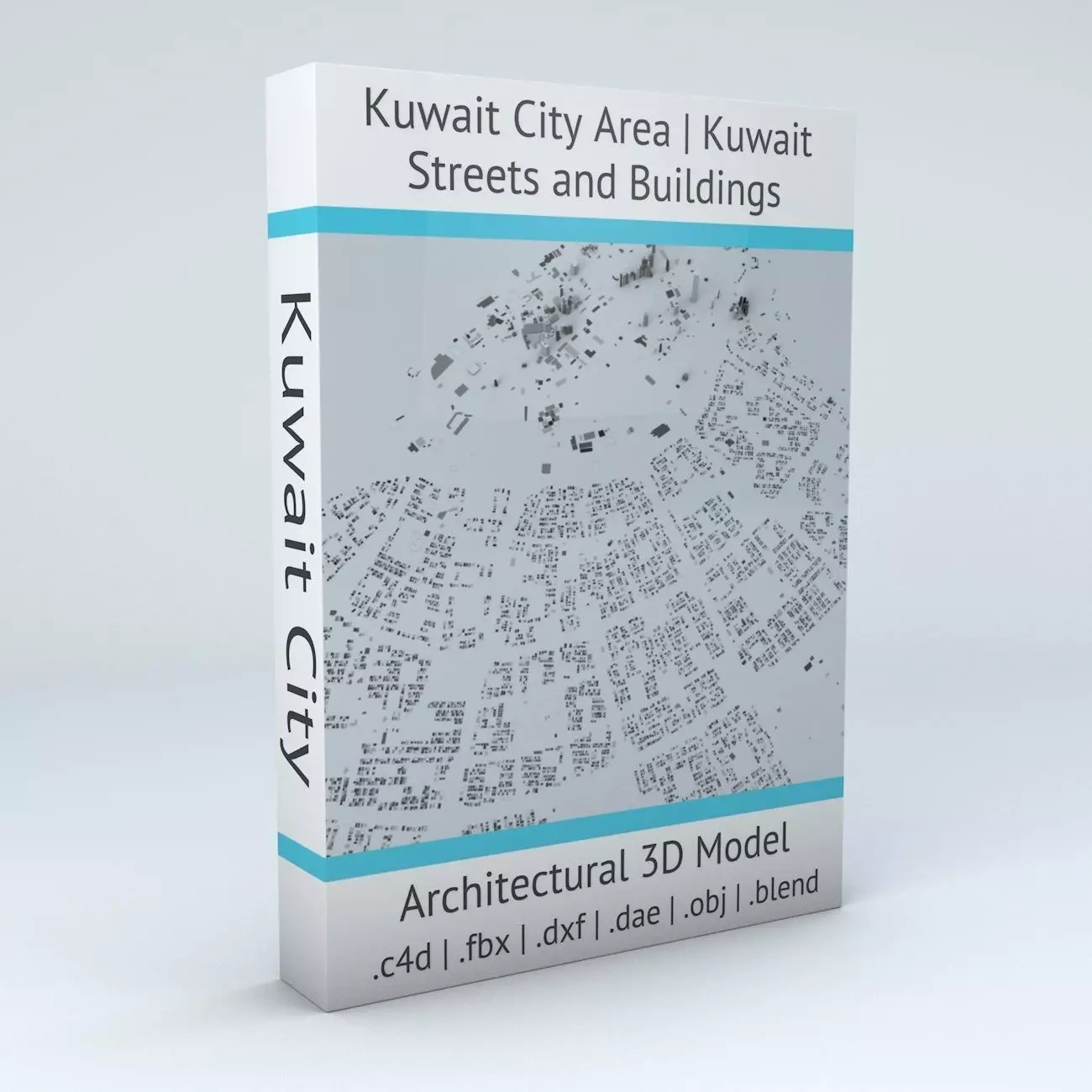 Kuwait City Area Streets and Buildings 3D model_0