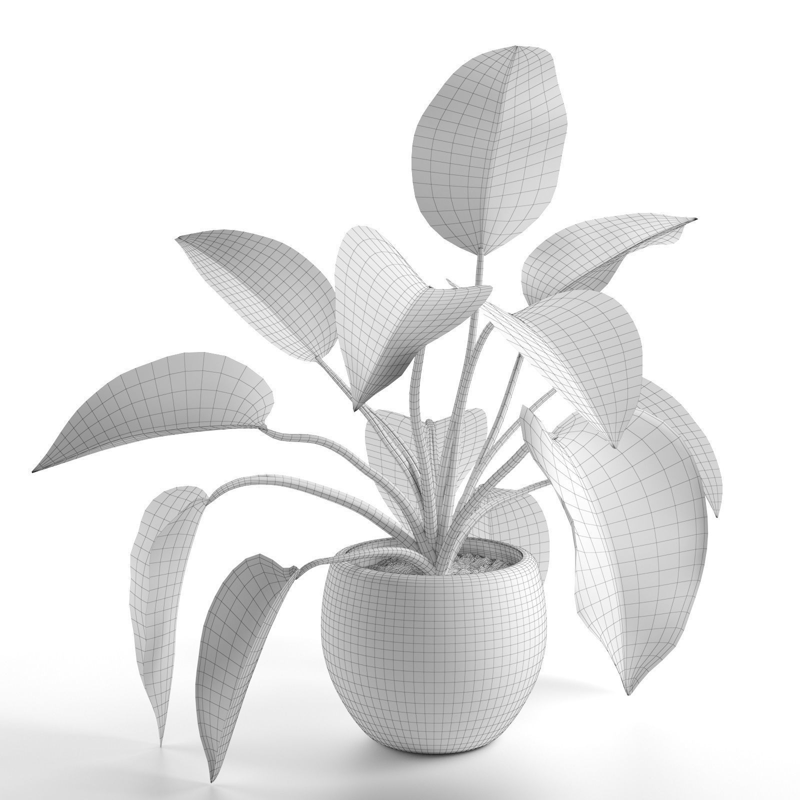 Lily Large Leaves 3D model_3