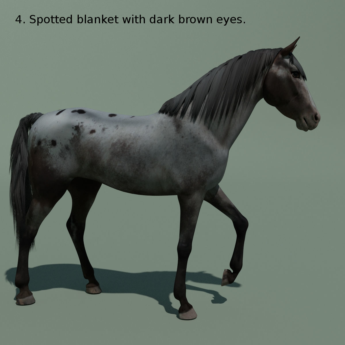 Animated Horse 10 colours 3D model_14