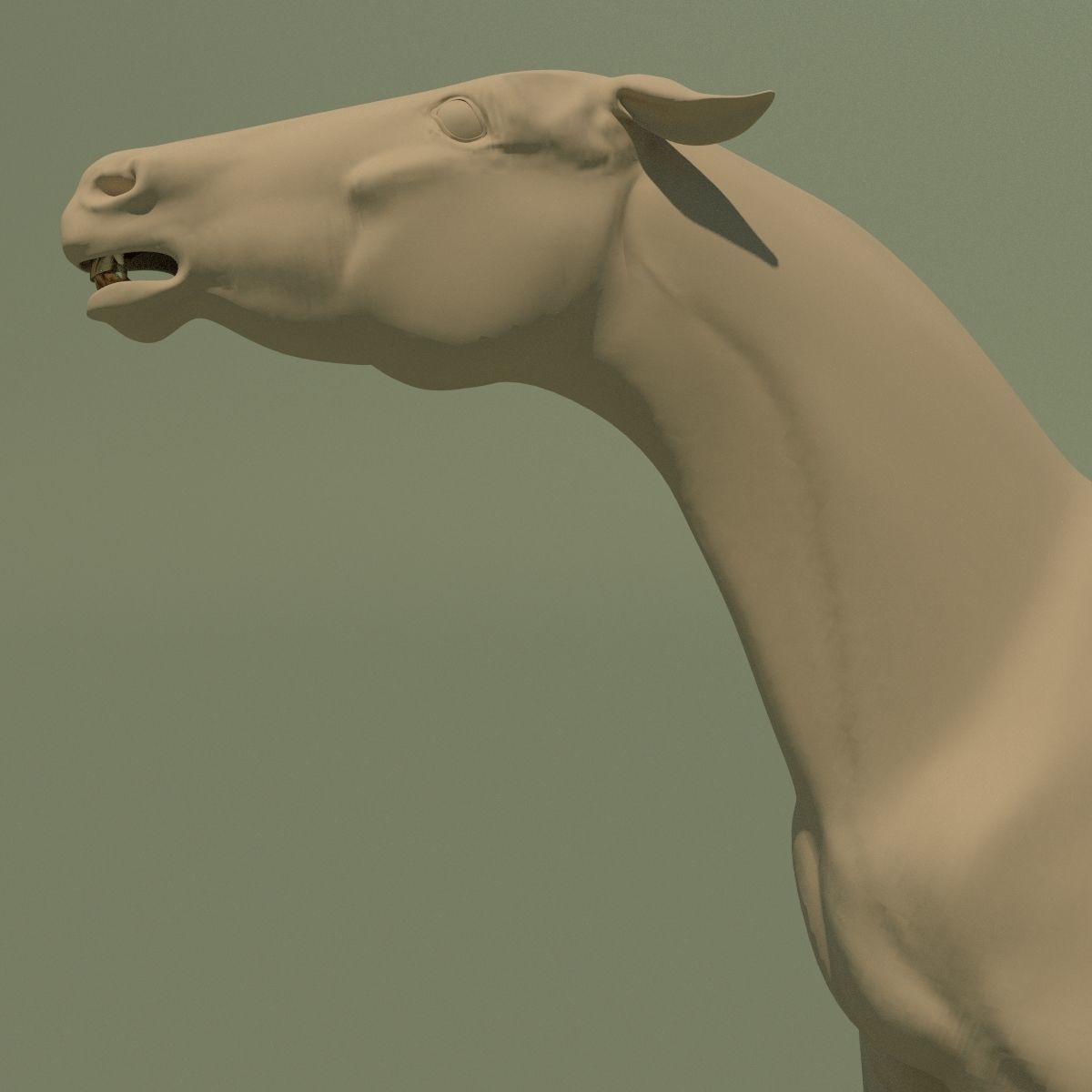 Animated Horse 10 colours 3D model_7
