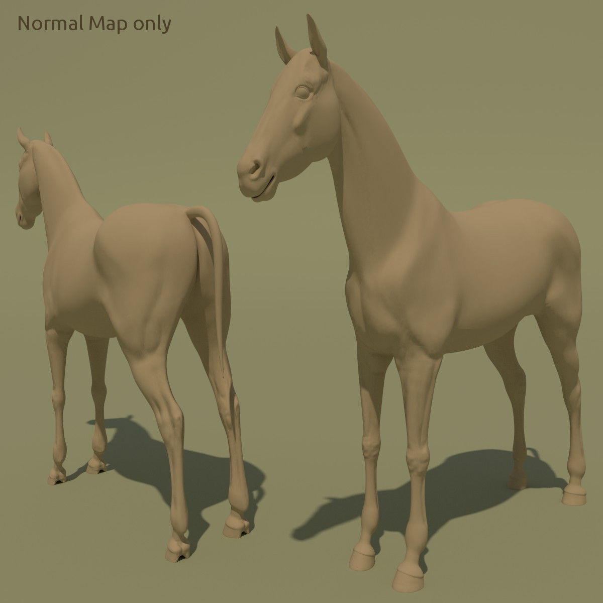 Animated Horse 10 colours 3D model_26