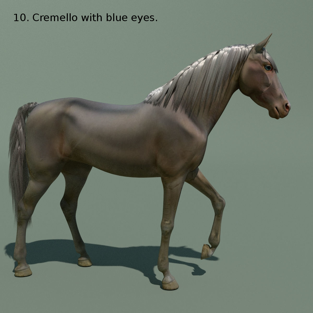Animated Horse 10 colours 3D model_20