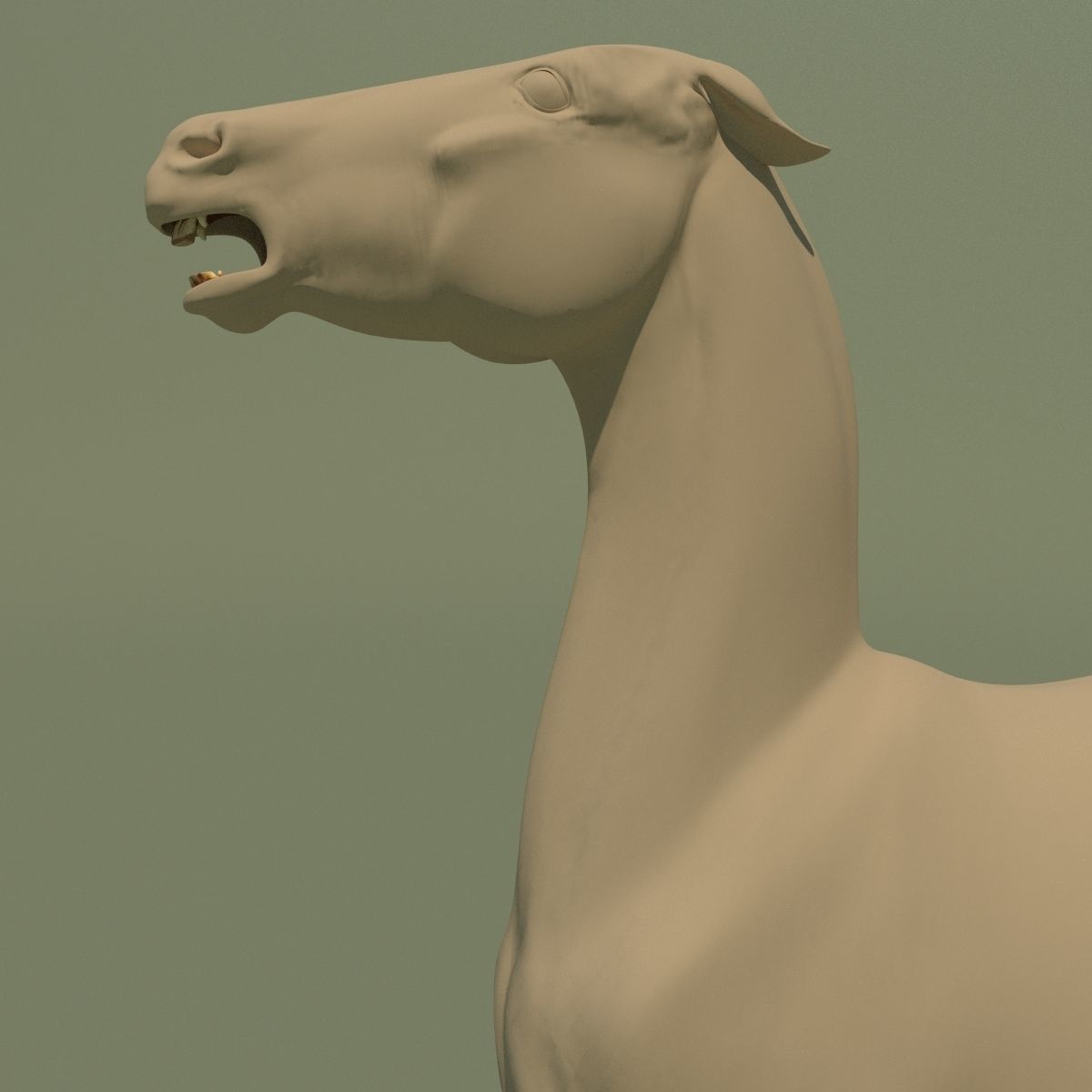 Animated Horse 10 colours 3D model_5