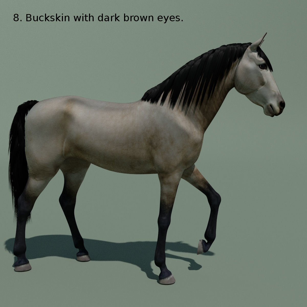 Animated Horse 10 colours 3D model_18
