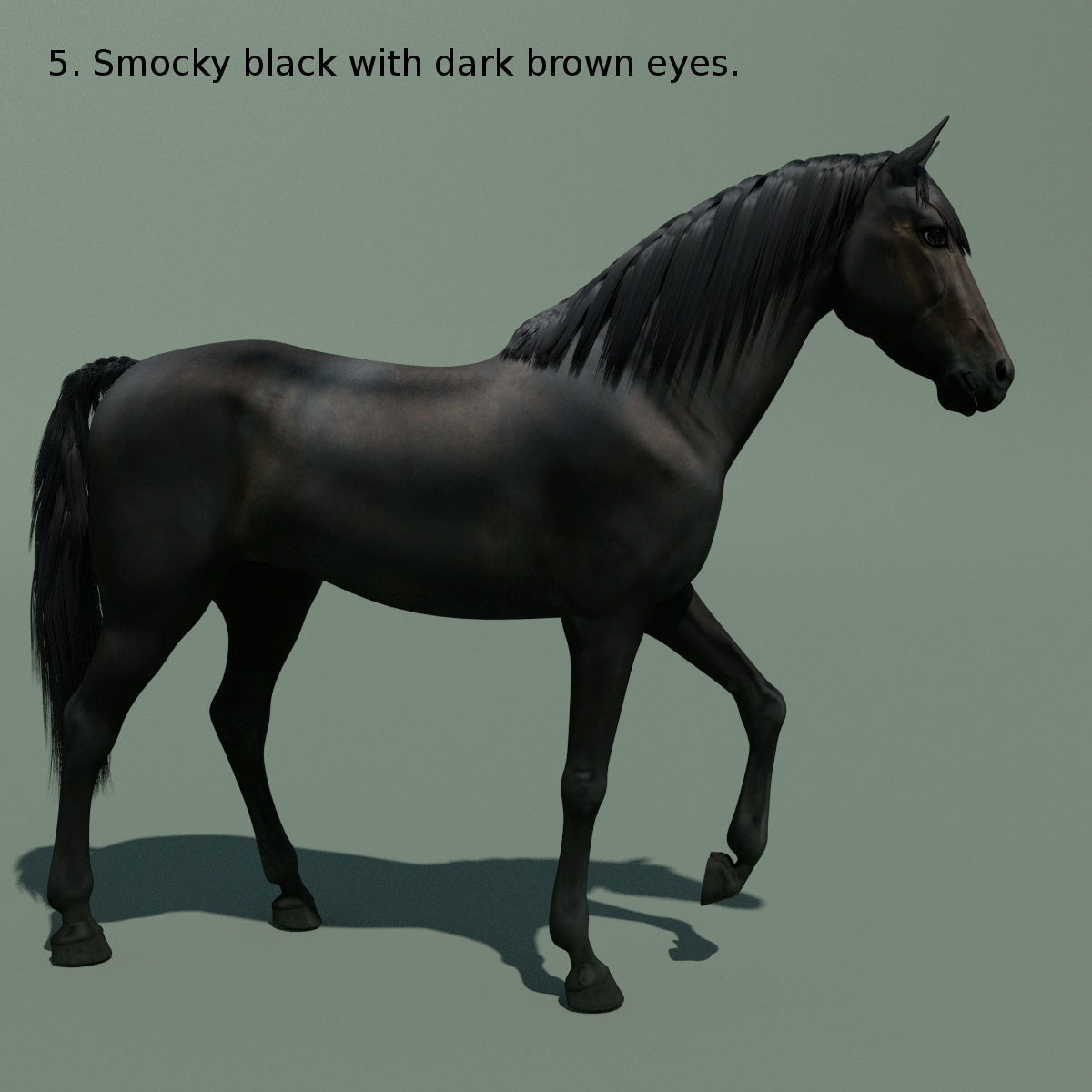Animated Horse 10 colours 3D model_15