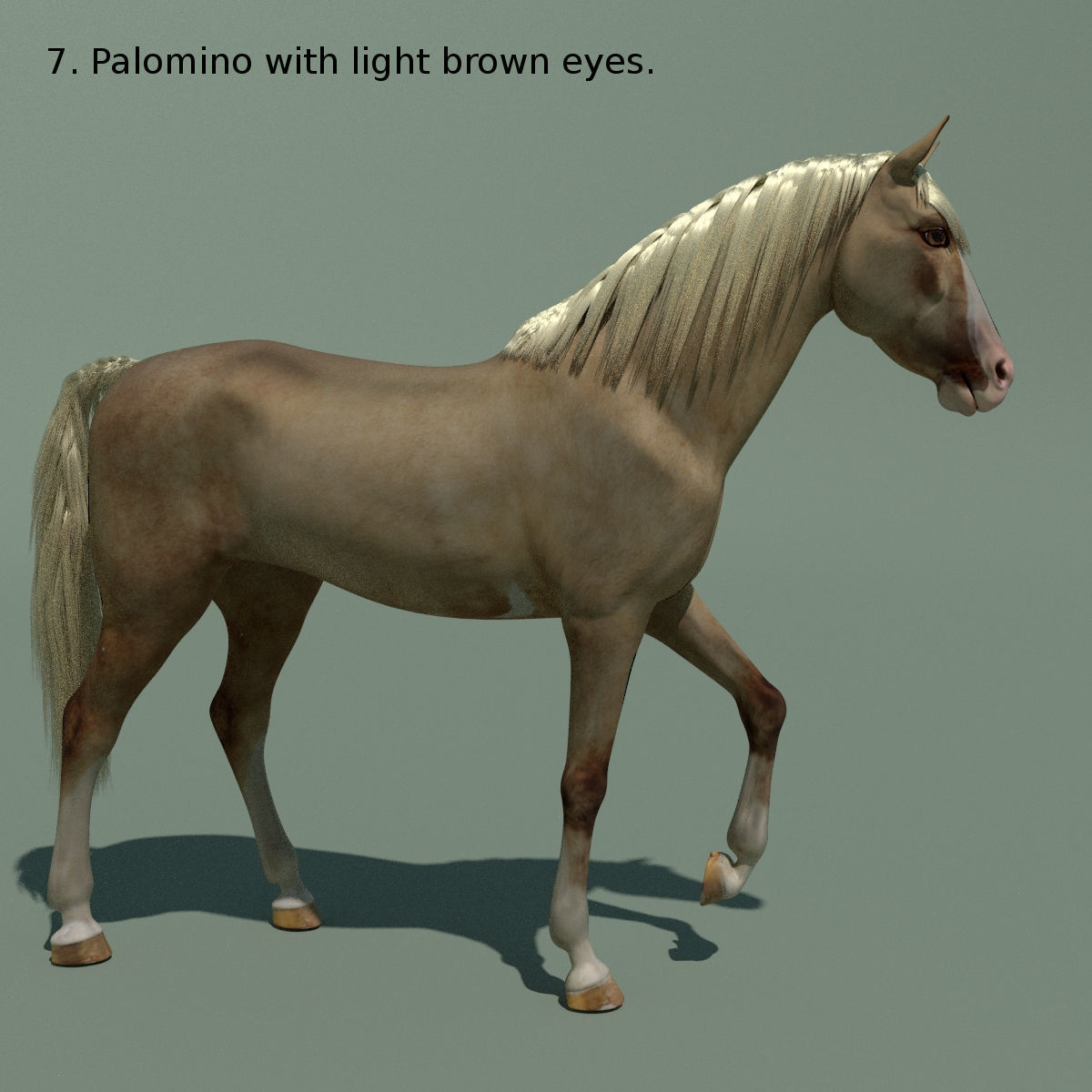 Animated Horse 10 colours 3D model_17