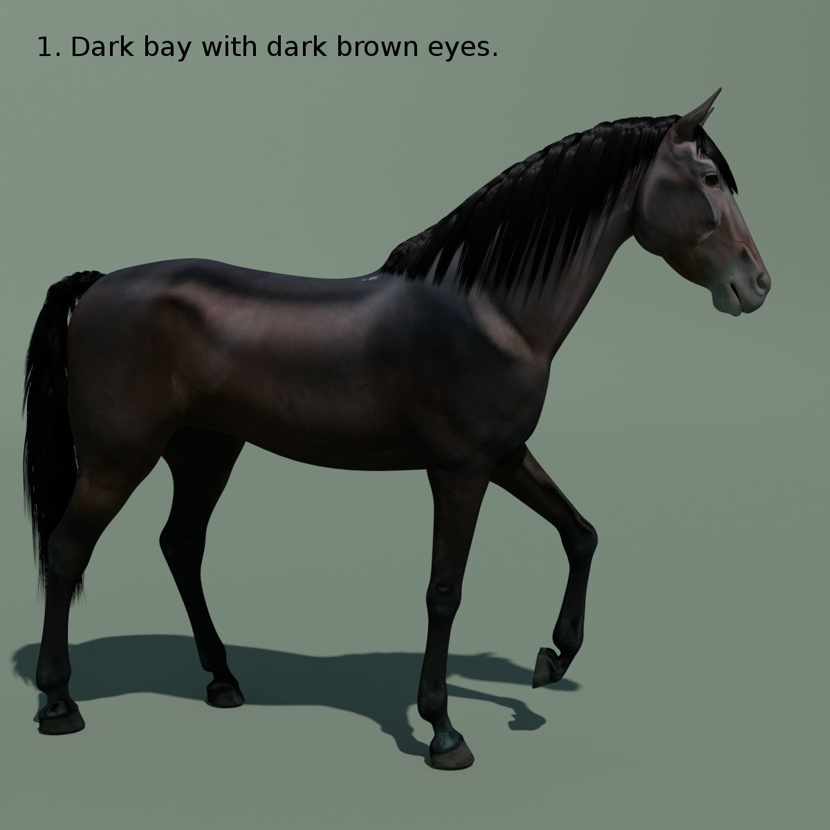 Animated Horse 10 colours 3D model_11