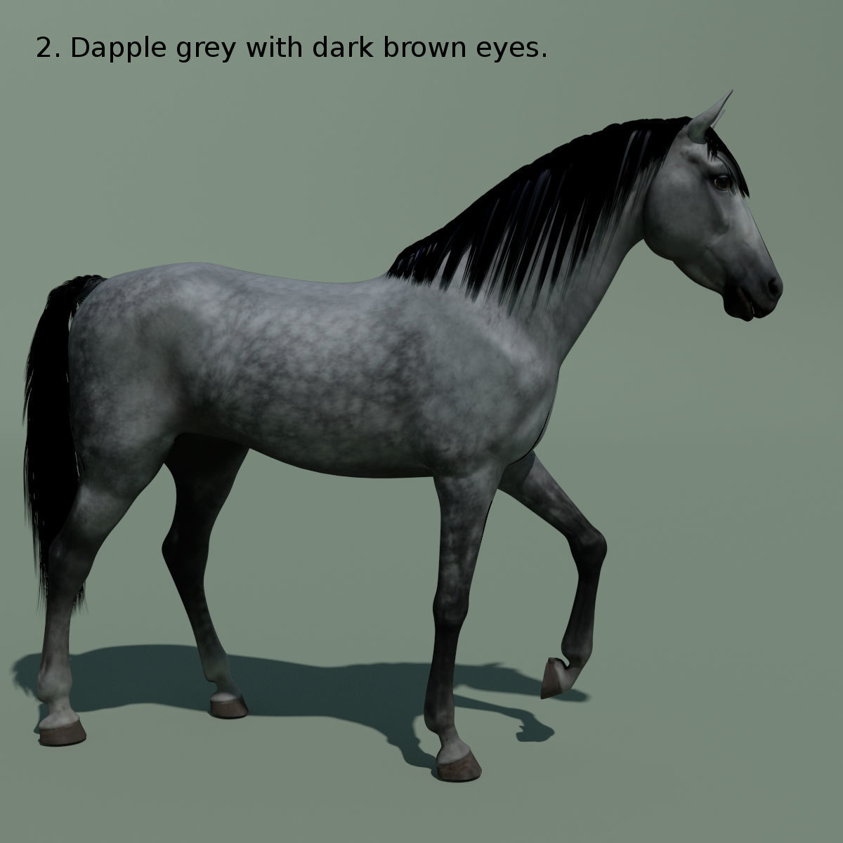 Animated Horse 10 colours 3D model_12
