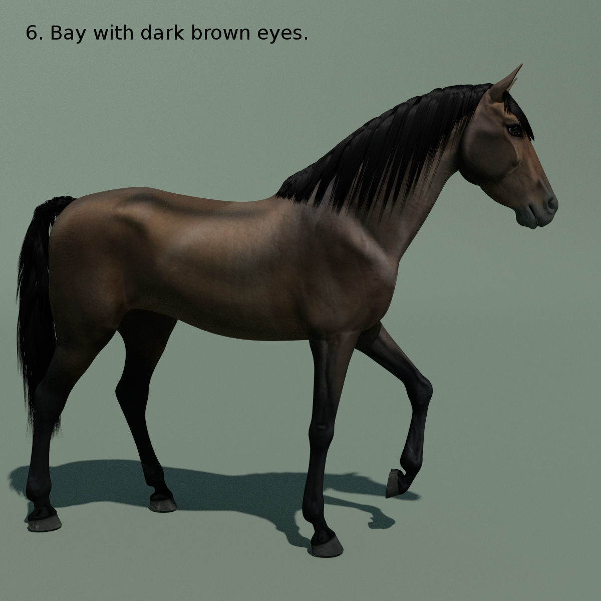 Animated Horse 10 colours 3D model_16
