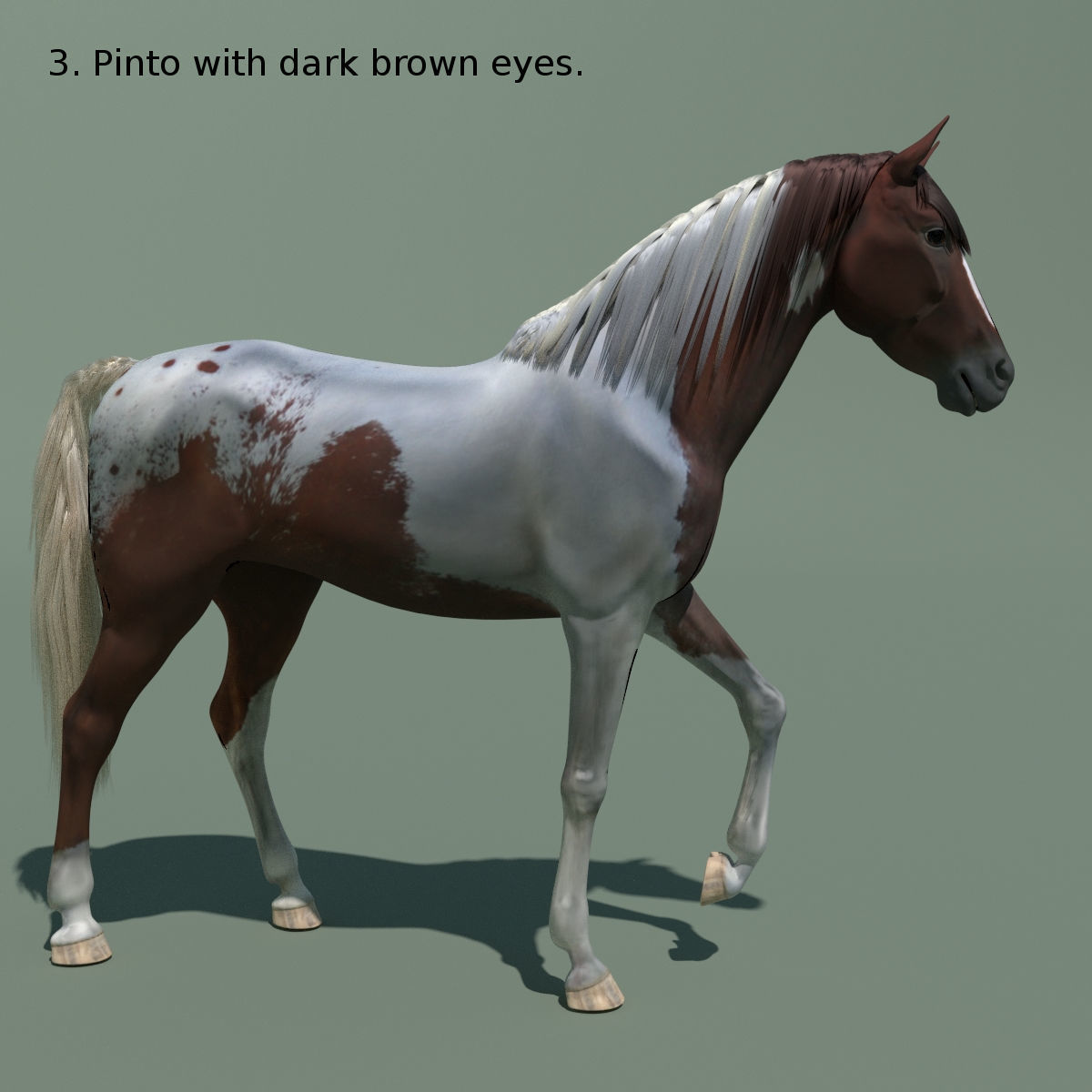 Animated Horse 10 colours 3D model_13