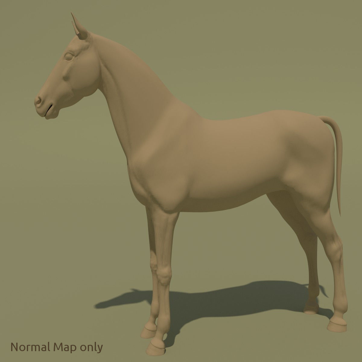 Animated Horse 10 colours 3D model_21
