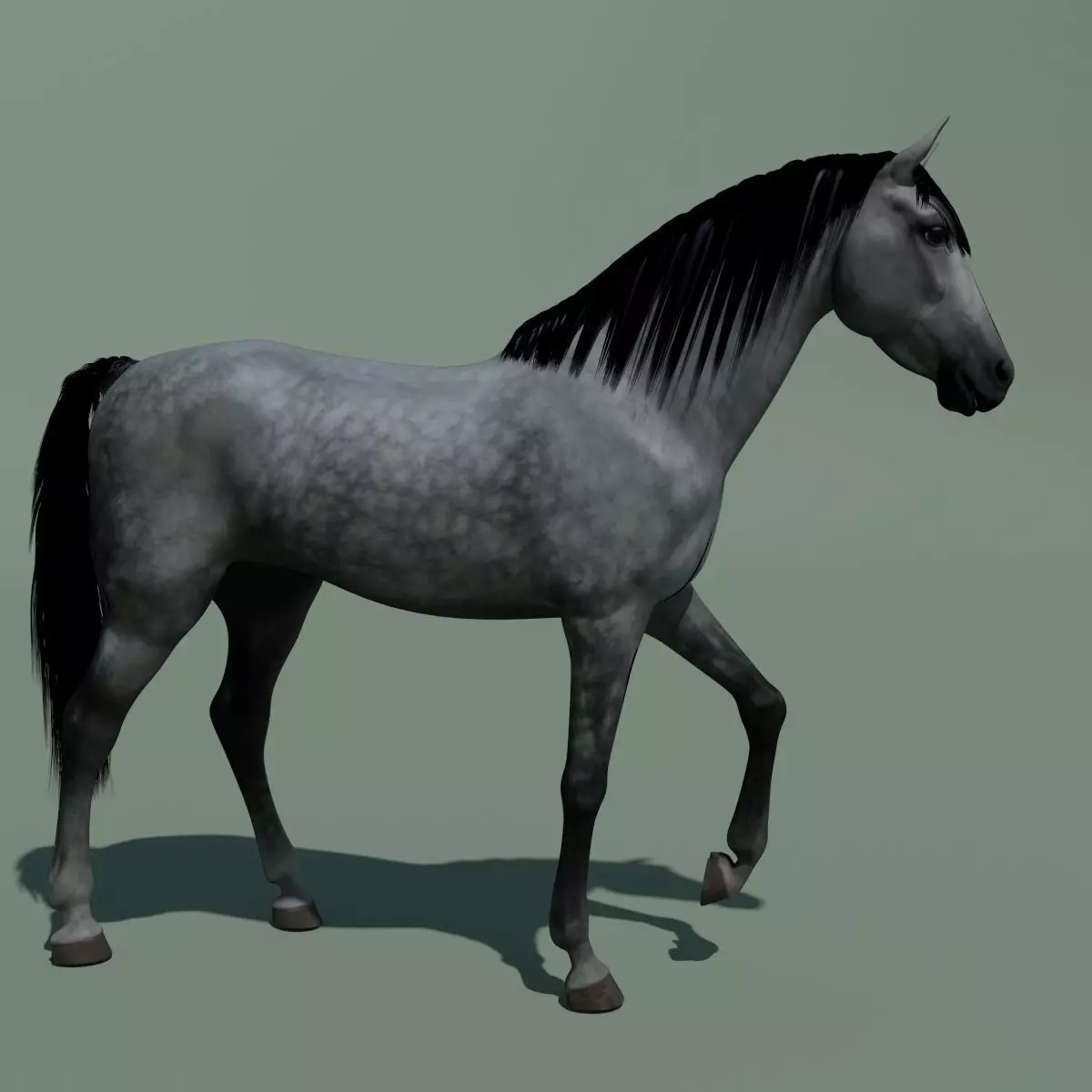 Animated Horse 10 colours 3D model_0