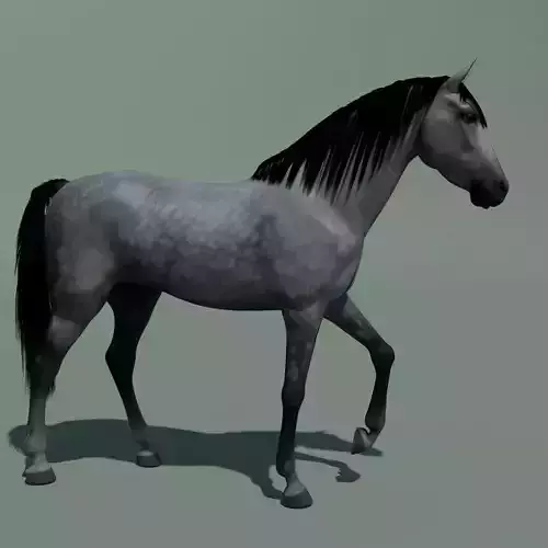 Animated Horse 10 colours 3D model