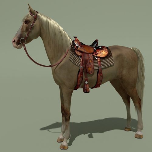 Cowboy Horse Palomino
