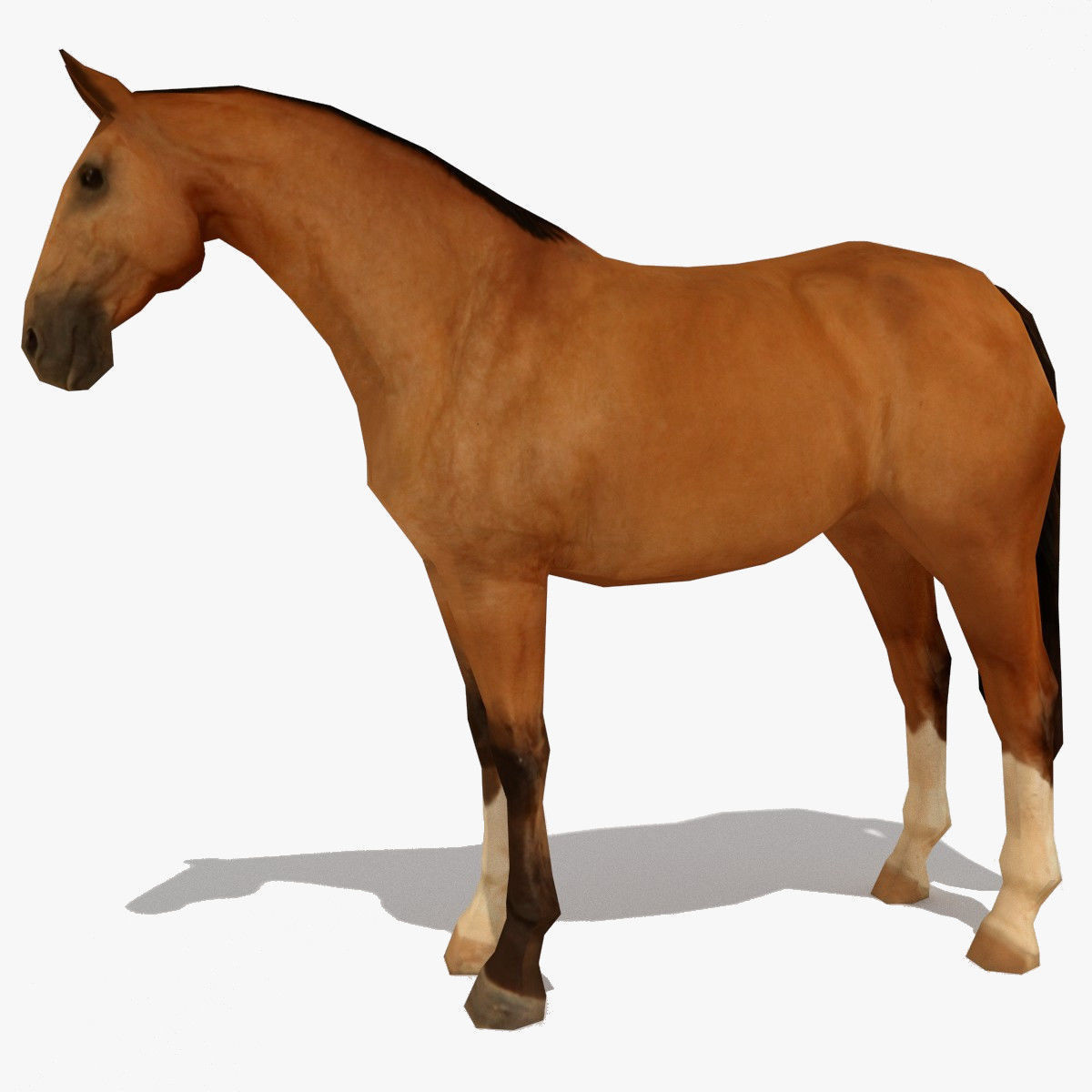LowPoly Horses Collection volume 1 Low-poly 3D model_4