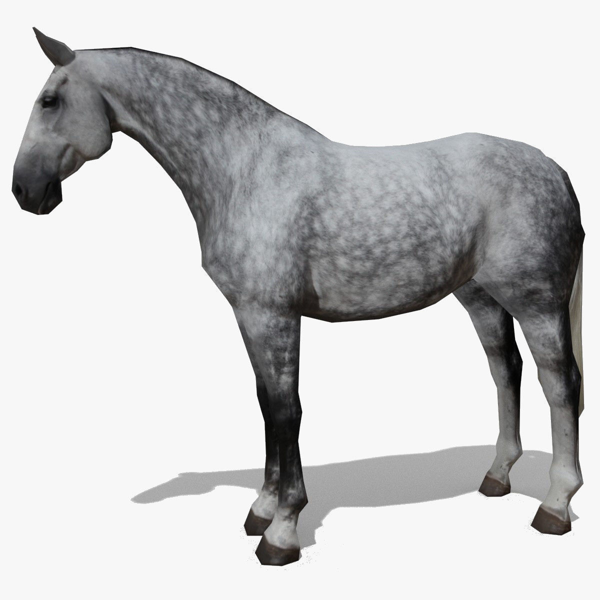 LowPoly Horses Collection volume 1 Low-poly 3D model_5