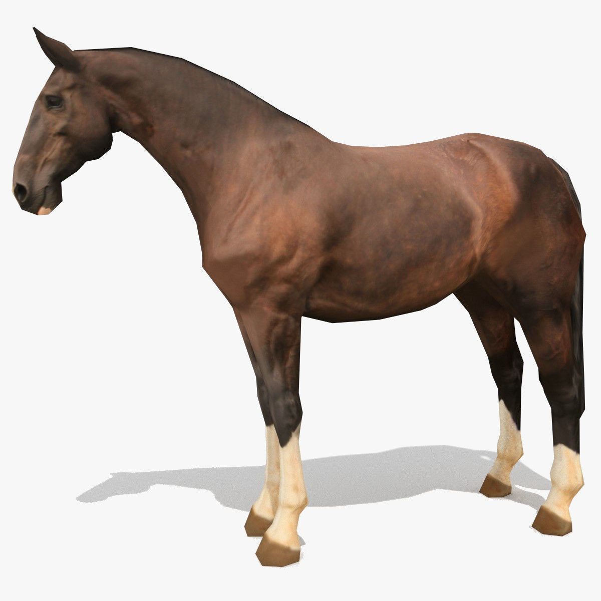 LowPoly Horses Collection volume 1 Low-poly 3D model_3