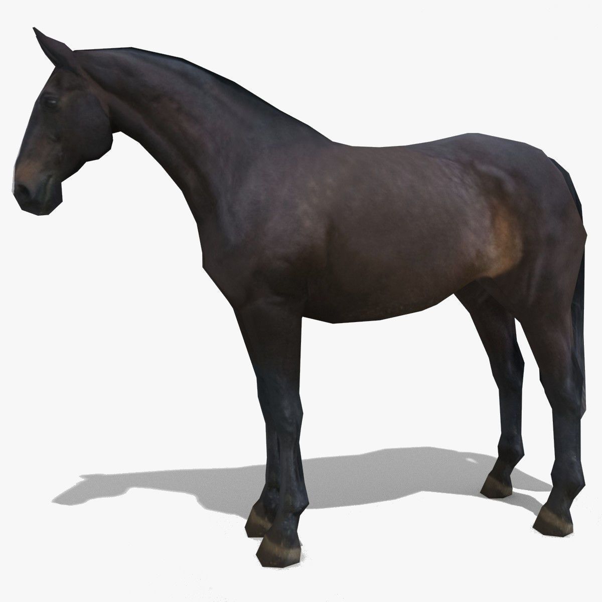 LowPoly Horses Collection volume 1 Low-poly 3D model_1