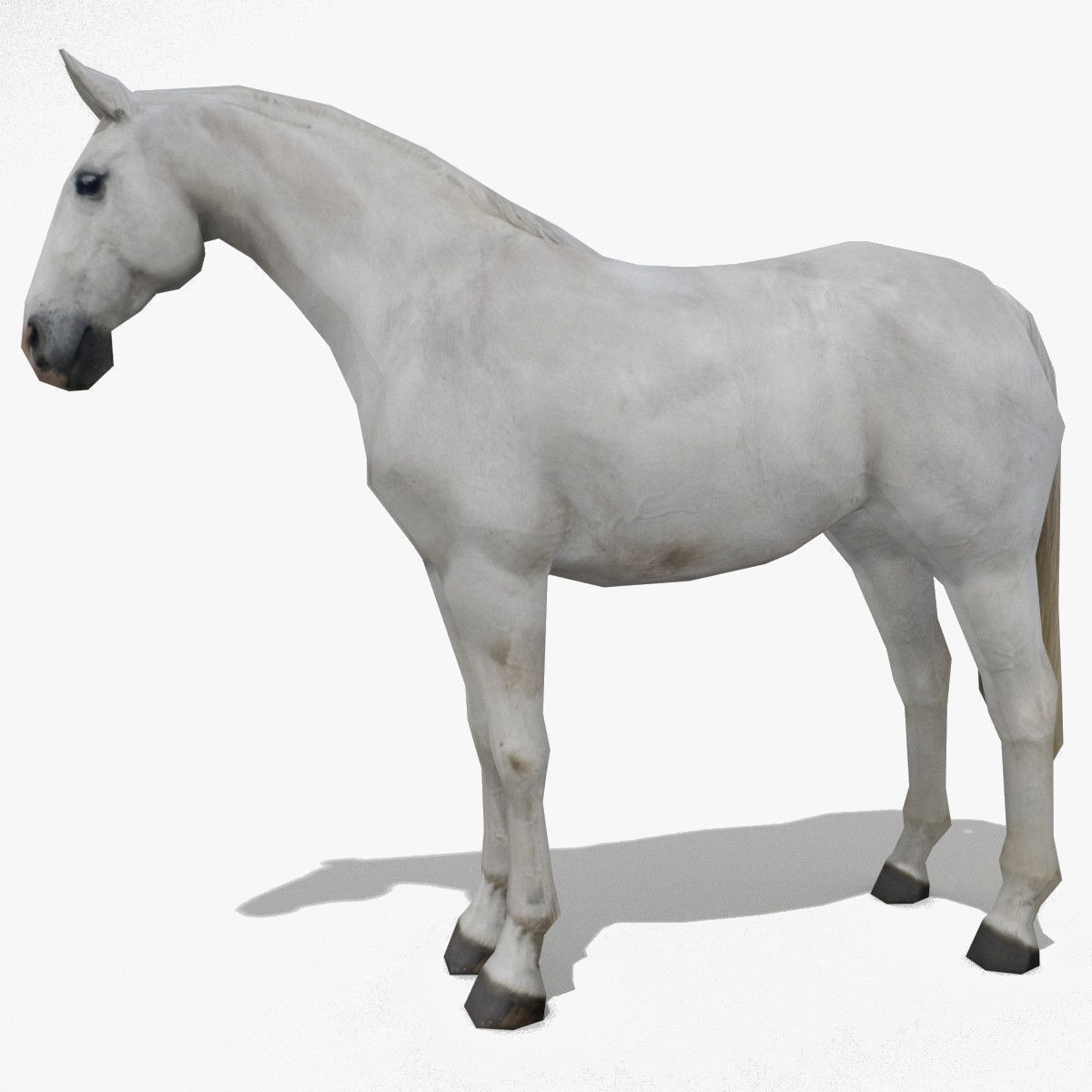LowPoly Horses Collection volume 1 Low-poly 3D model_2