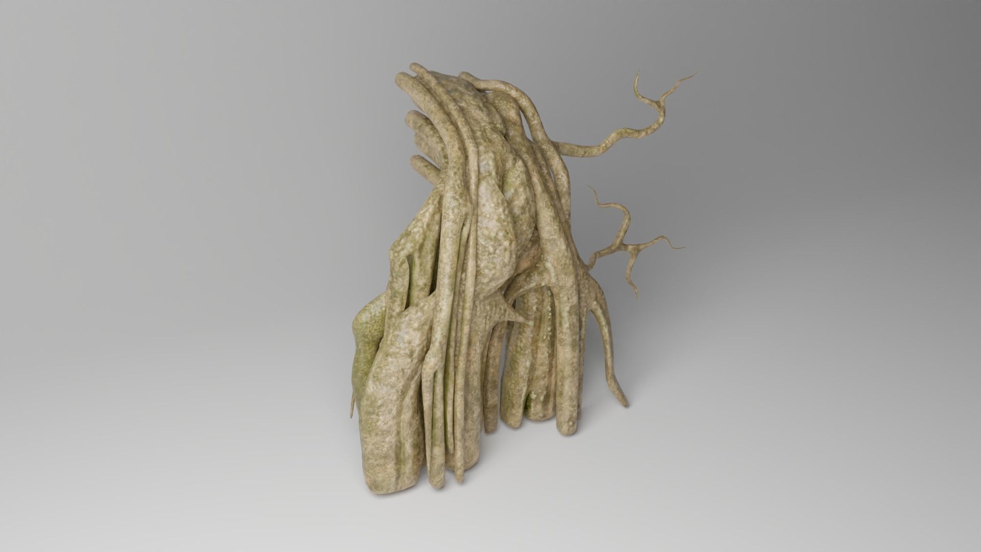 Roots or Vines Pack and 3D printable STL Low-poly 3D model_22