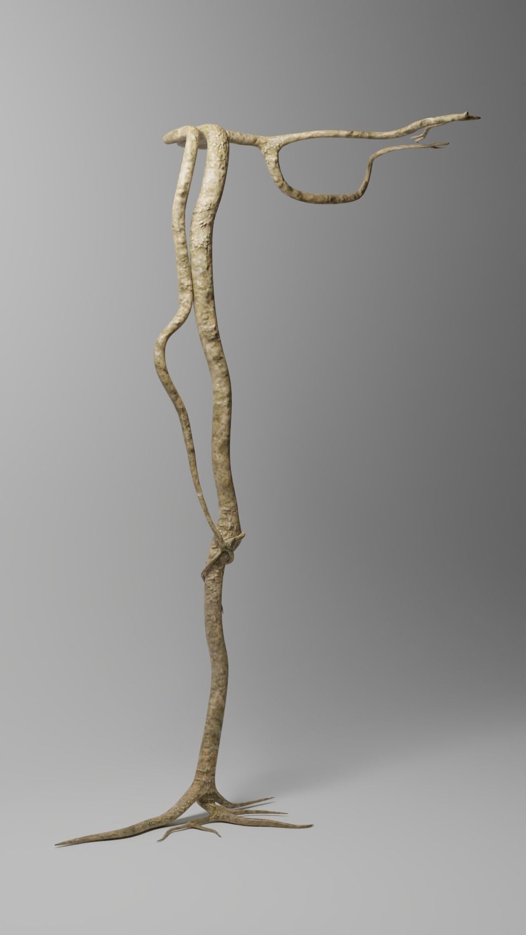 Roots or Vines Pack and 3D printable STL Low-poly 3D model_4