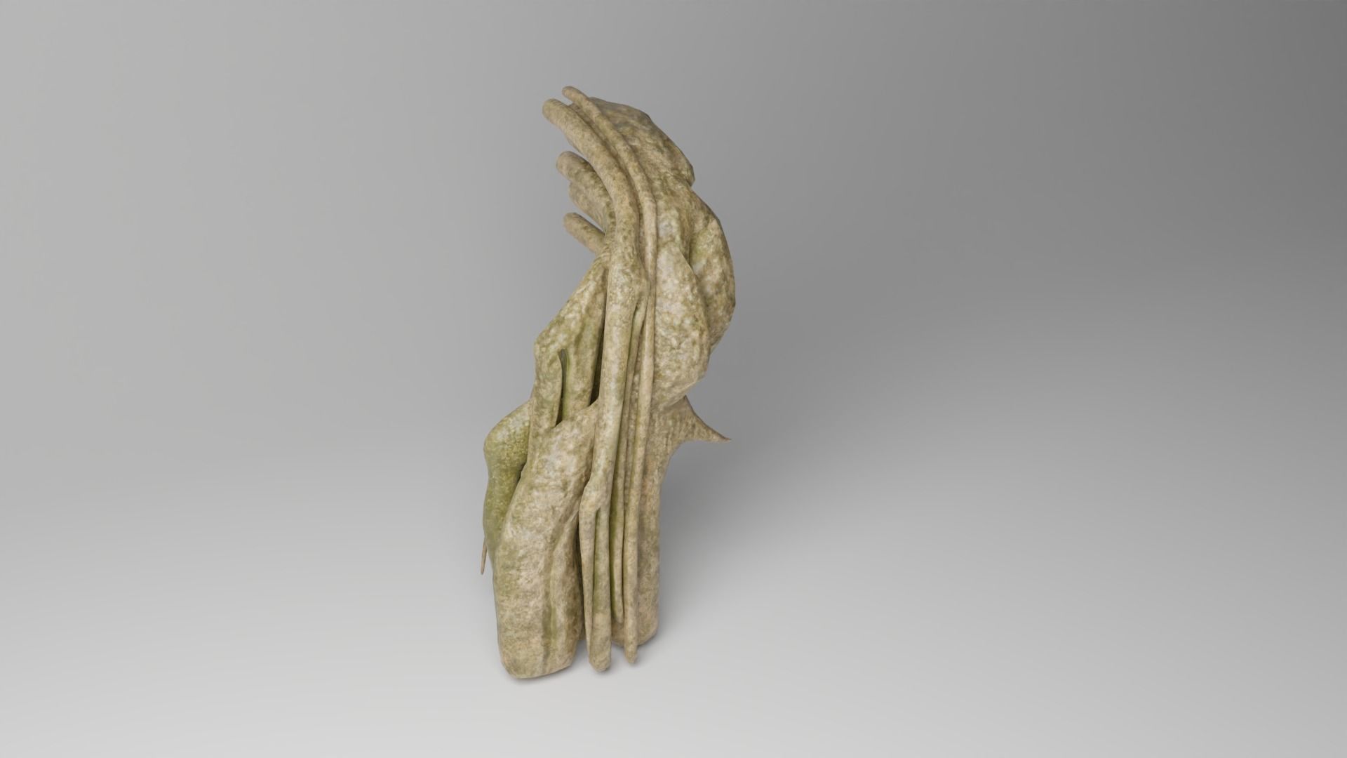Roots or Vines Pack and 3D printable STL Low-poly 3D model_20