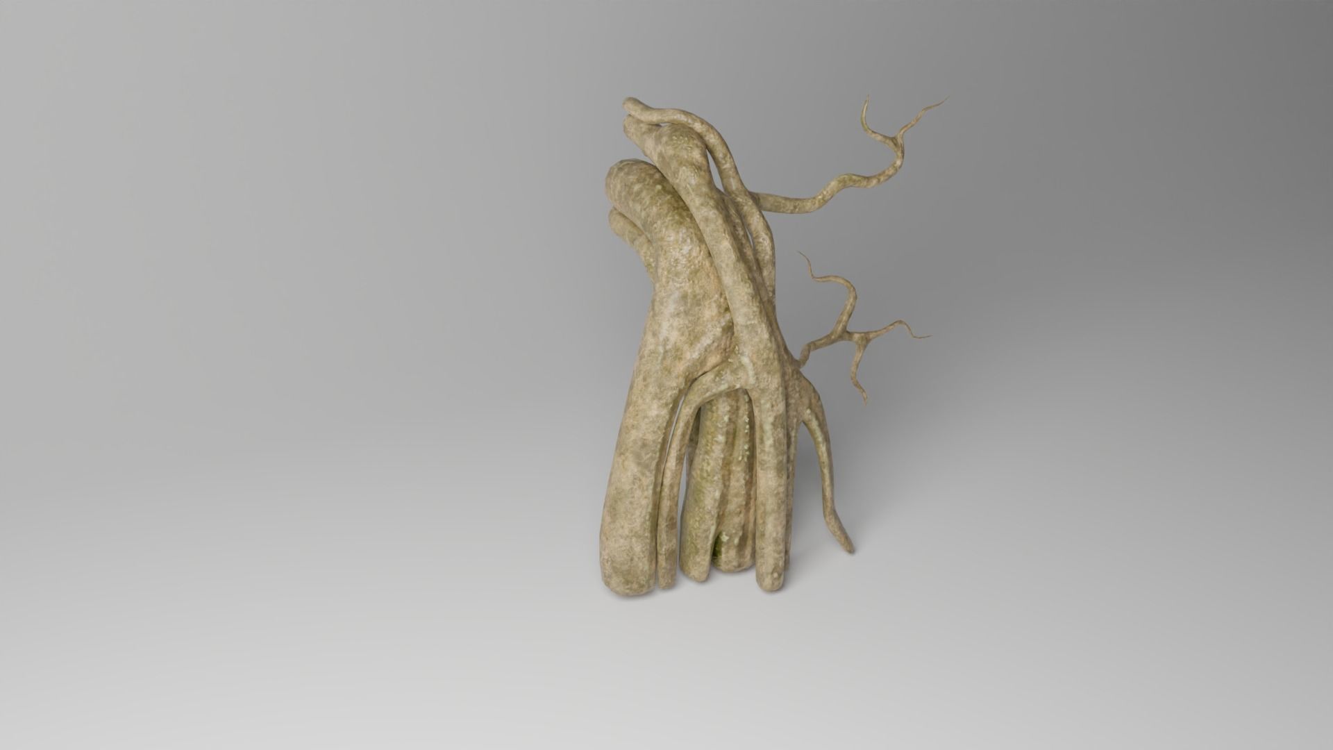 Roots or Vines Pack and 3D printable STL Low-poly 3D model_18
