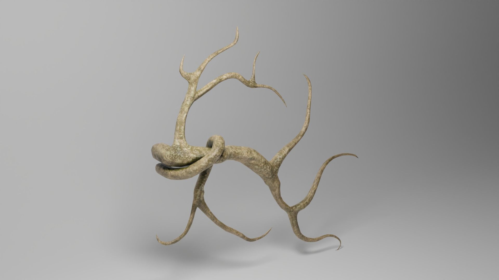 Roots or Vines Pack and 3D printable STL Low-poly 3D model_10