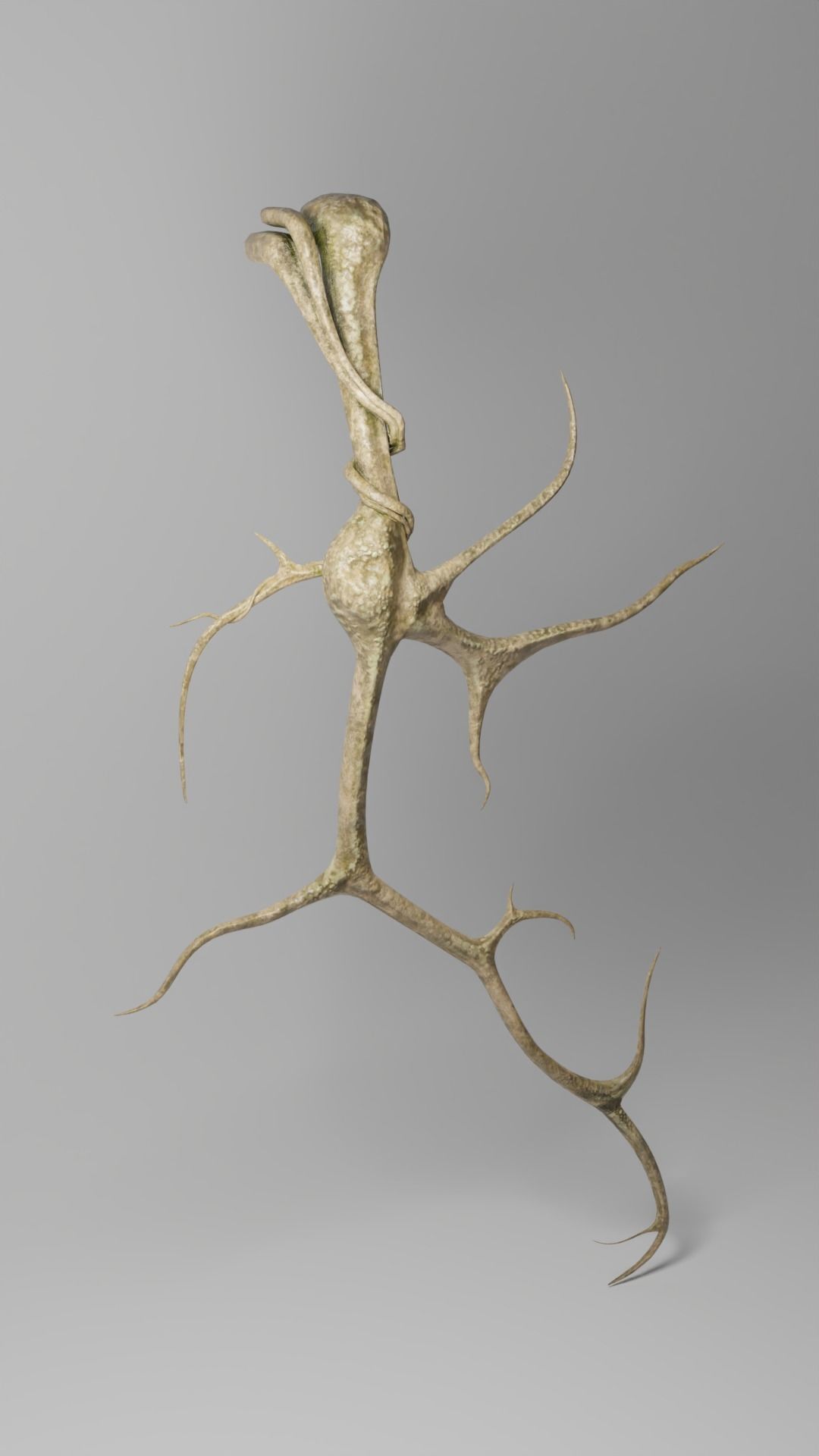 Roots or Vines Pack and 3D printable STL Low-poly 3D model_8