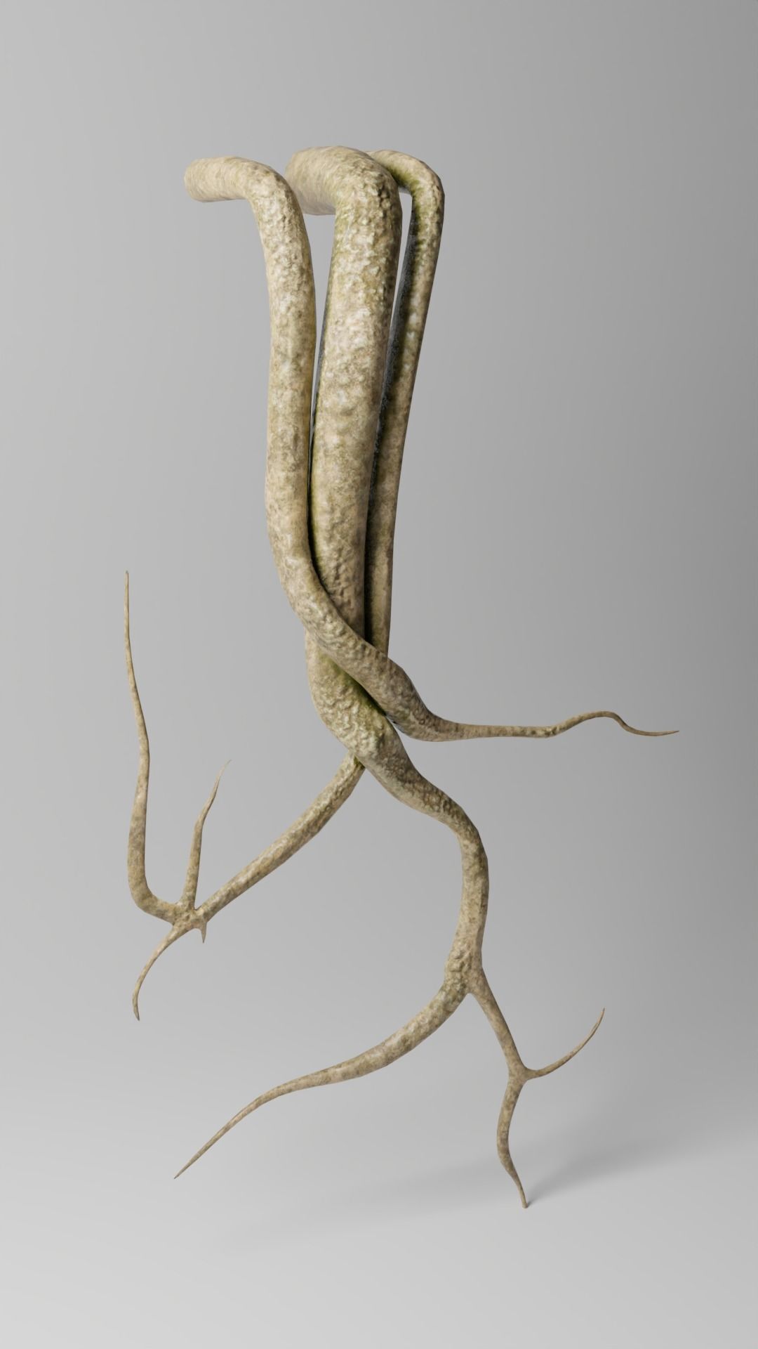 Roots or Vines Pack and 3D printable STL Low-poly 3D model_6