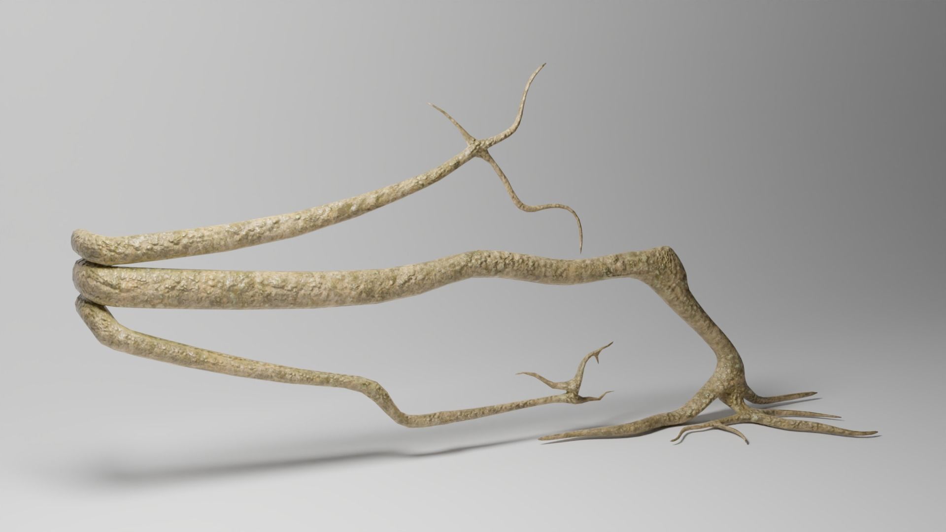 Roots or Vines Pack and 3D printable STL Low-poly 3D model_2