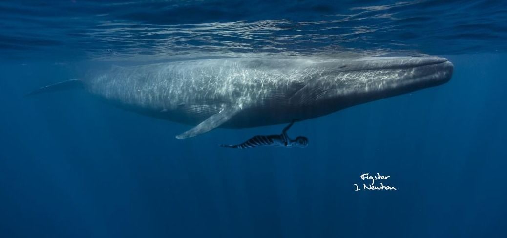 Battle Mermaid 3D model_25