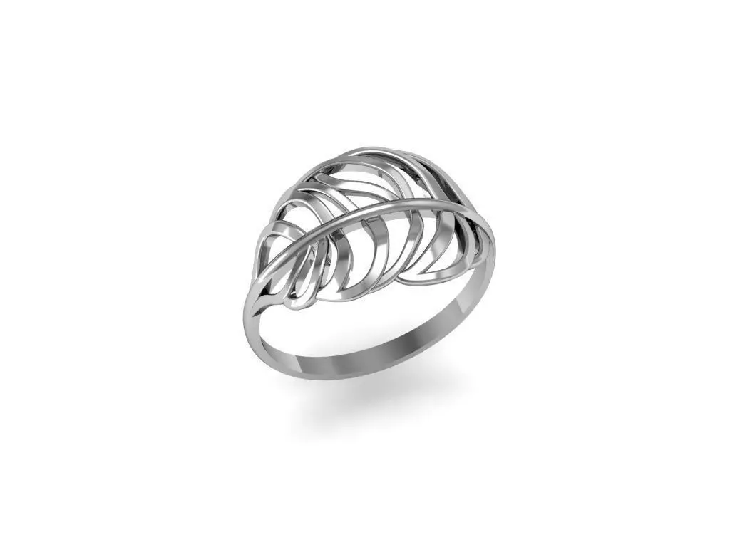 Ring feather set 3D print model_0