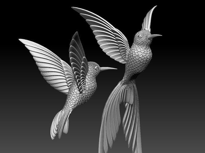 colibri humming bird 3D print model