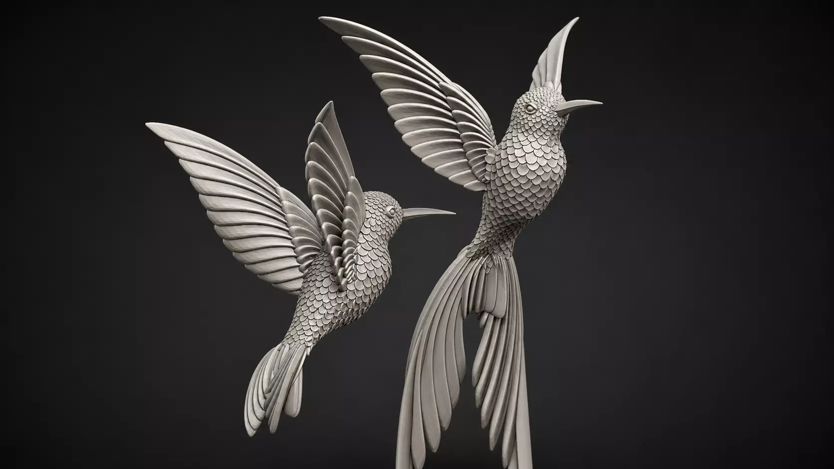 hummingbird 3D print model
